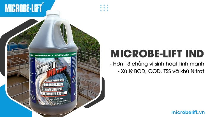Men vi sinh Microbe-Lift IND giúp giải quyết nhiều vấn đề, điển hình tăng hiệu suất xử lý BOD, COD, TSS và khử Nitrat. Men vi sinh Microbe-Lift IND giúp giải quyết nhiều vấn đề, điển hình tăng hiệu suất xử lý BOD, COD, TSS và khử Nitrat.