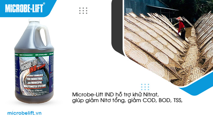 Microbe-Lift IND hỗ trợ khử Nitrat, giúp giảm Nitơ tổng, giảm COD, BOD, TSS. Microbe-Lift IND hỗ trợ khử Nitrat, giúp giảm Nitơ tổng, giảm COD, BOD, TSS.
