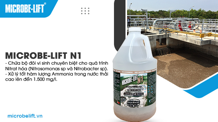 Men vi sinh Microbe-Lift N1 tích hợp bộ đôi vi sinh chuyên biệt cho quá trình Nitrat hóa. Men vi sinh Microbe-Lift N1 tích hợp bộ đôi vi sinh chuyên biệt cho quá trình Nitrat hóa.