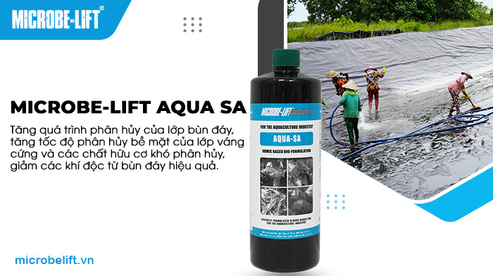 Men vi sinh Microbe-Lift AQUA SA - Xử lý bùn đáy, nhớt bạt. Men vi sinh Microbe-Lift AQUA SA - Xử lý bùn đáy, nhớt bạt.