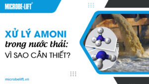Xử lý Amoni trong nước thải: Vì sao cần thiết?