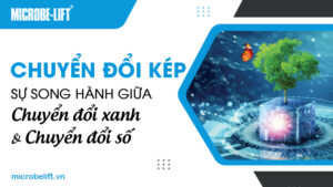 Chuyển đổi kép: Sự song hành giữa chuyển đổi xanh và chuyển đổi số