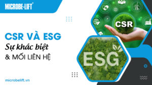 CSR và ESG: Sự khác biệt và Mối liên hệ