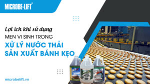 Lợi ích khi sử dụng men vi sinh trong xử lý nước thải sản xuất bánh kẹo