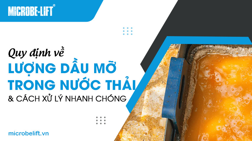 Quy định về lượng dầu mỡ trong nước thải và cách xử lý nhanh chóng