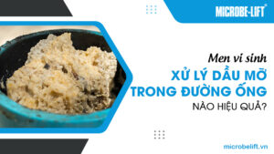 Men vi sinh xử lý dầu mỡ trong đường ống nào hiệu quả?