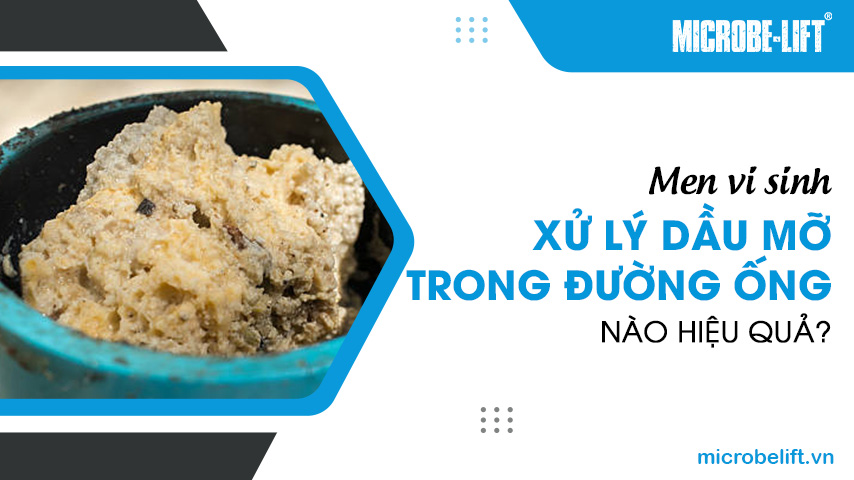 Men vi sinh xử lý dầu mỡ trong đường ống nào hiệu quả?