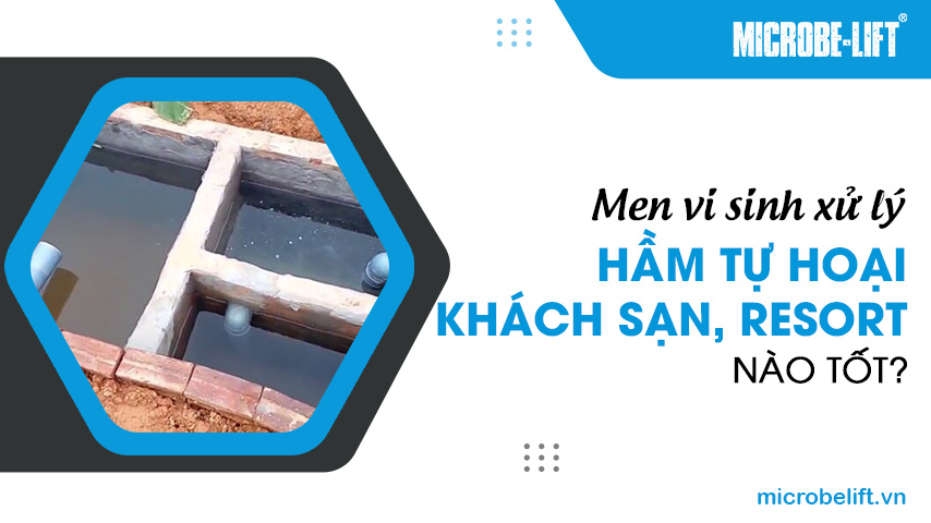 Men vi sinh xử lý hầm tự hoại khách sạn, resort nào tốt?
