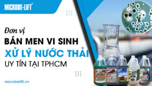 Đơn vị bán men vi sinh xử lý nước thải uy tín tại TPHCM