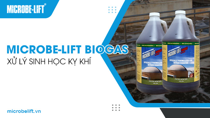 Microbe-Lift BIOGAS chuyên dùng trong xử lý sinh học kỵ khí. Microbe-Lift BIOGAS chuyên dùng trong xử lý sinh học kỵ khí.