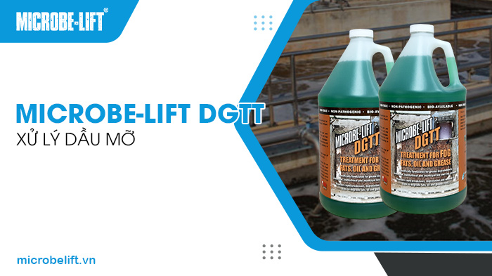 Đơn vị bán men vi sinh xử lý nước thải uy tín tại TPHCM 3 Microbe-Lift DGTT là men vi sinh chuyên dụng giúp xử lý dầu mỡ.