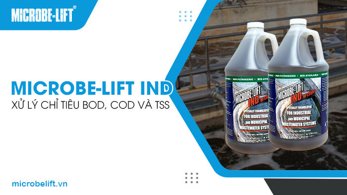 Đơn vị bán men vi sinh xử lý nước thải uy tín tại TPHCM 2 Chế phẩm sinh học Microbe-Lift IND giúp xử lý các chỉ tiêu BOD, COD và TSS trong nước thải.
