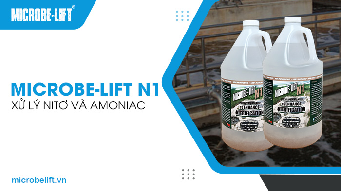 Microbe-Lift N1 là giải pháp vi sinh hiệu quả giúp xử lý Nitơ và Amoniac. Microbe-Lift N1 là giải pháp vi sinh hiệu quả giúp xử lý Nitơ và Amoniac.