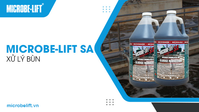 Men vi sinh Microbe-Lift SA chuyên xử lý bùn trong hệ thống xử lý nước thải. Men vi sinh Microbe-Lift SA chuyên xử lý bùn trong hệ thống xử lý nước thải.