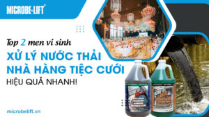 Top 2 men vi sinh xử lý nước thải nhà hàng tiệc cưới hiệu quả nhanh!