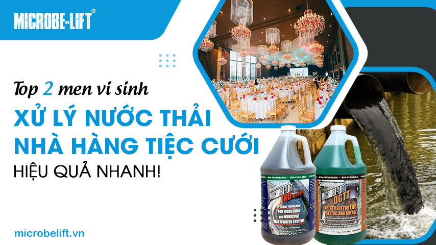 Top 2 men vi sinh xử lý nước thải nhà hàng tiệc cưới hiệu quả nhanh! 1 Top 2 men vi sinh xử lý nước thải nhà hàng tiệc cưới hiệu quả nhanh!