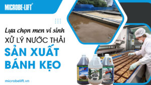 Lựa chọn men vi sinh xử lý nước thải sản xuất bánh kẹo