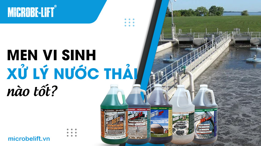 Men vi sinh xử lý nước thải nào tốt?