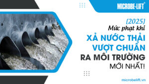 [2025] Mức phạt khi xả nước thải vượt chuẩn ra môi trường mới nhất!
