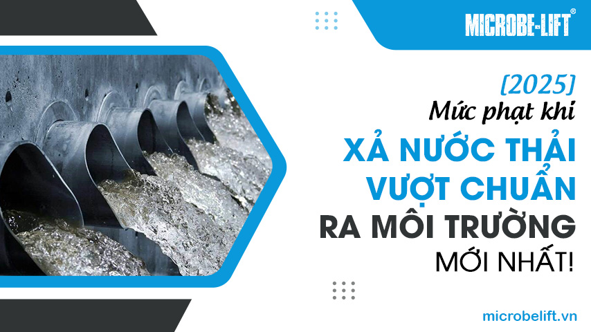 [2025] Mức phạt khi xả nước thải vượt chuẩn ra môi trường mới nhất!