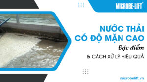 Nước thải có độ mặn cao: Đặc điểm và Cách xử lý hiệu quả