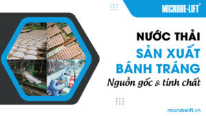 Nước thải sản xuất bánh tráng: Nguồn gốc và tính chất