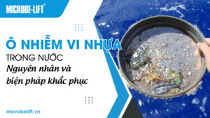 Ô nhiễm vi nhựa trong nước: Nguyên nhân và biện pháp khắc phục