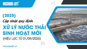 [2025] Cập nhật quy định xử lý nước thải sinh hoạt mới (hiệu lực từ 01/09/2025)