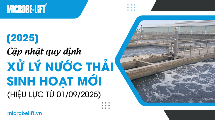 [2025] Cập nhật quy định xử lý nước thải sinh hoạt mới (hiệu lực từ 01/09/2025)