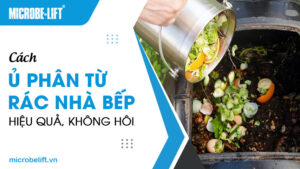 Cách ủ phân từ rác nhà bếp hiệu quả, không hôi