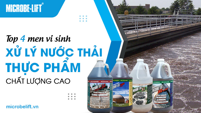 Top 4 men vi sinh xử lý nước thải thực phẩm chất lượng cao