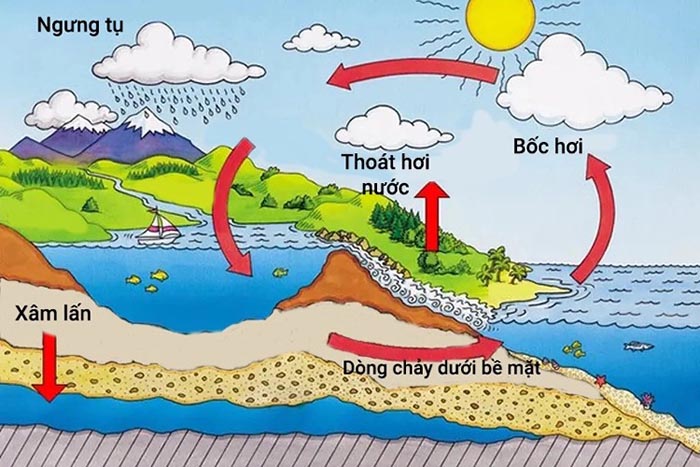 Quá trình vòng tuần hoàn nước còn được gọi là chu trình thủy văn. Quá trình vòng tuần hoàn nước còn được gọi là chu trình thủy văn.