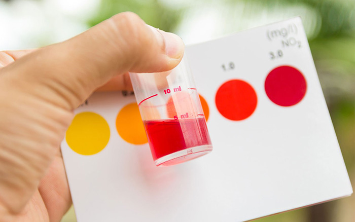 Các yếu tố cần kiểm soát để nuôi tôm hiệu quả 2 Trong các ao nuôi thâm canh, nồng độ chất độc có thể tích luỹ lại theo thời gian.