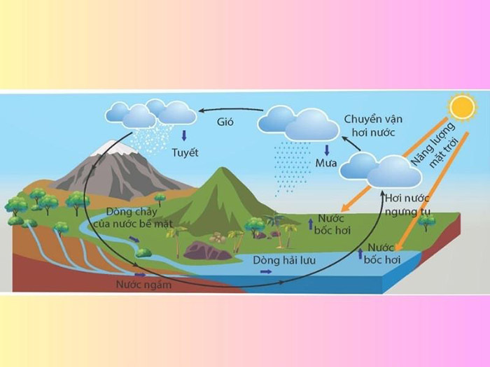 12 giai đoạn của chu trình của vòng tuần hoàn nước. 12 giai đoạn của chu trình của vòng tuần hoàn nước.