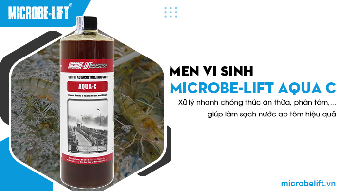 Các yếu tố cần kiểm soát để nuôi tôm hiệu quả 3 Microbe-Lift AQUA C xử lý nước ao nuôi tôm, giúp vụ nuôi tôm hiệu quả.