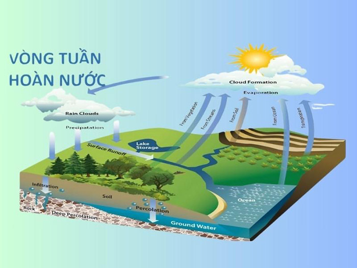 Vòng tuần hoàn nước đóng vai trò như mạch sống của Trái Đất. Vòng tuần hoàn nước đóng vai trò như mạch sống của Trái Đất.