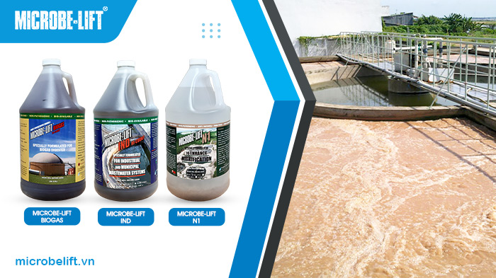 Bộ 3 men vi sinh Microbe-Lift được sử dụng trong xử lý nước thải chế biến thực phẩm. Bộ 3 men vi sinh Microbe-Lift được sử dụng trong xử lý nước thải chế biến thực phẩm.