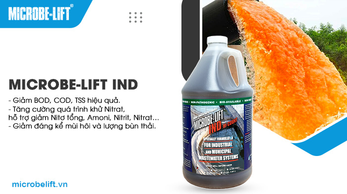 Men vi sinh Microbe-Lift IND giúp tăng cường quá trình phân huỷ sinh học của hệ thống xử lý nước thải mực in. Men vi sinh Microbe-Lift IND giúp tăng cường quá trình phân huỷ sinh học của hệ thống xử lý nước thải mực in.