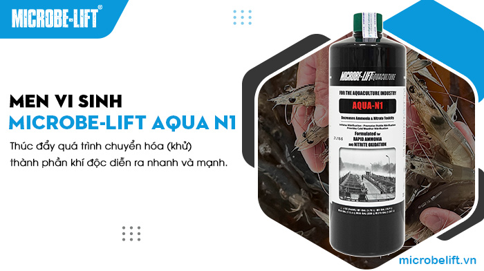 Microbe-Lift AQUA N1 xử lý khí độc trong ao nuôi tôm. Microbe-Lift AQUA N1 xử lý khí độc trong ao nuôi tôm.