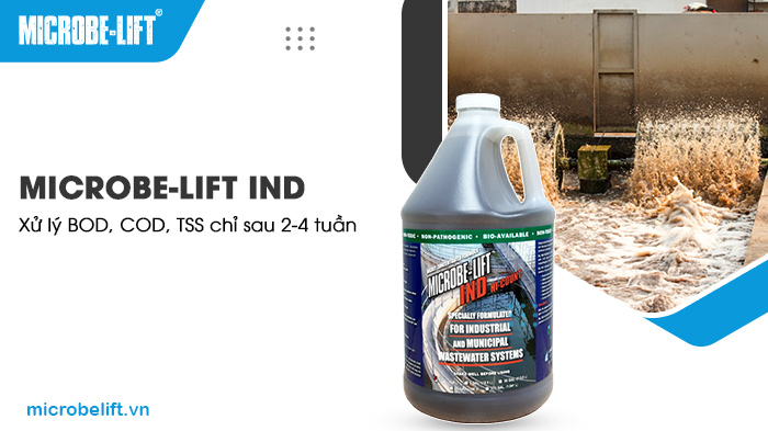 Men vi sinh Microbe-Lift IND xử lý BOD, COD, TSS chỉ sau 2-4 tuần. Men vi sinh Microbe-Lift IND xử lý BOD, COD, TSS chỉ sau 2-4 tuần.