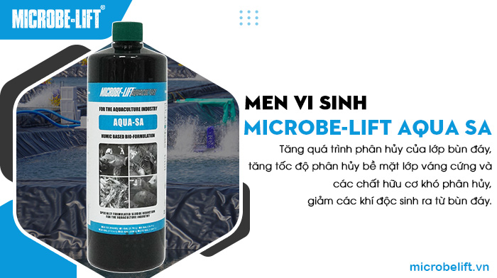 Microbe-Lift AQUA SA tăng quá trình phân hủy của lớp bùn đáy, bề mặt của lớp váng cứng,...giảm các khí độc sinh ra từ bùn đáy, giúp nuôi tôm hiệu quả. Microbe-Lift AQUA SA tăng quá trình phân hủy của lớp bùn đáy, bề mặt của lớp váng cứng,...giảm các khí độc sinh ra từ bùn đáy, giúp nuôi tôm hiệu quả.