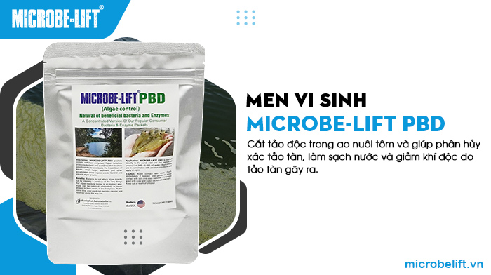 Microbe-Lift BPD cắt tảo độc trong ao nuôi tôm hiệu quả. Microbe-Lift BPD cắt tảo độc trong ao nuôi tôm hiệu quả.