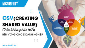CSV (Creating Shared Value): Chìa khóa phát triển bền vững cho doanh nghiệp