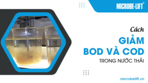 Cách giảm BOD và COD trong nước thải