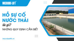 Hồ sự cố nước thải là gì? Những quy định cần biết