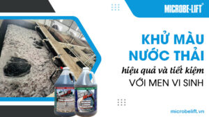 Khử màu nước thải hiệu quả và tiết kiệm với men vi sinh