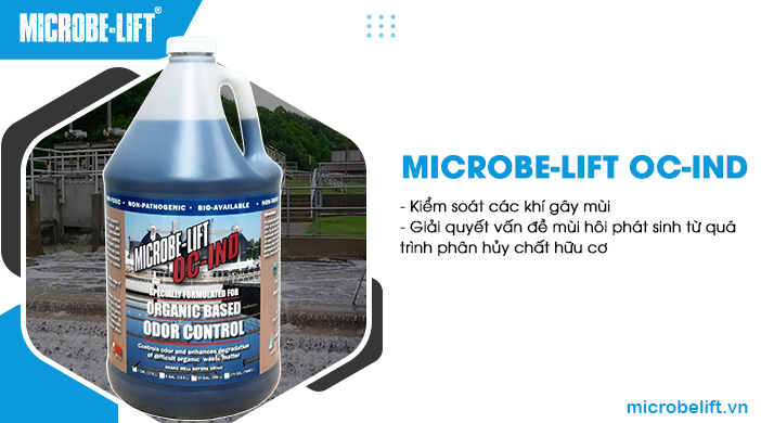 Men vi sinh dạng lỏng Microbe-Lift OC-IND. Men vi sinh dạng lỏng Microbe-Lift OC-IND.