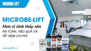 Microbe-Lift - Men vi sinh thủy sản an toàn, hiệu quả và tiết kiệm chi phí