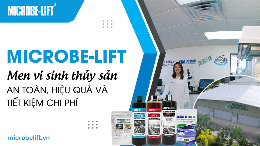 Microbe-Lift - Men vi sinh thủy sản an toàn, hiệu quả và tiết kiệm chi phí