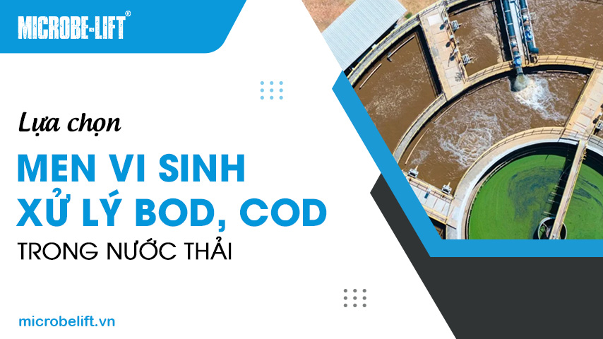 Lựa chọn men vi sinh xử lý BOD, COD trong nước thải
